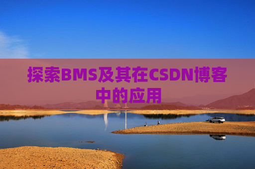 探索BMS及其在CSDN博客中的应用